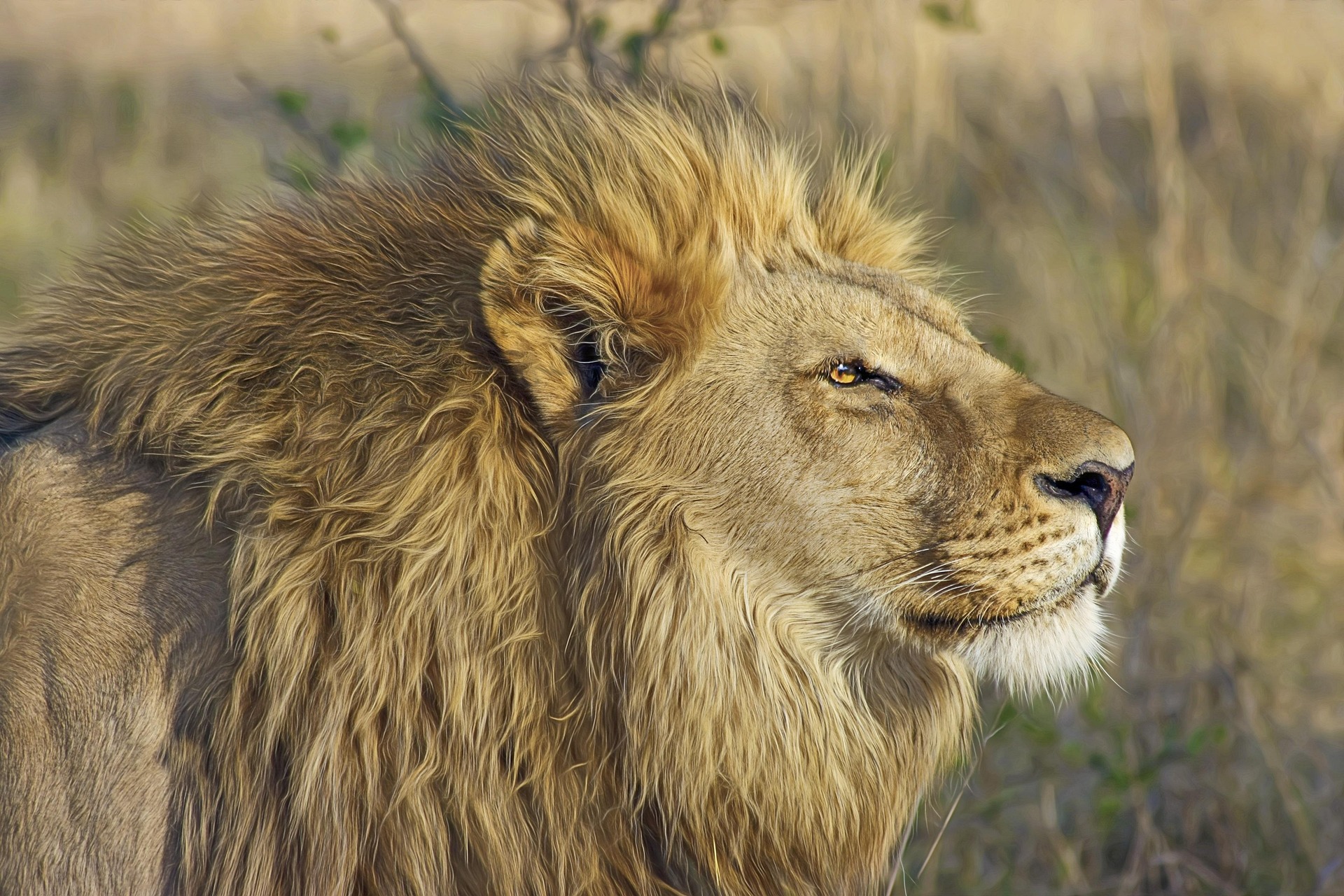 The journey to Aquilla Game Reserve from Cape Town